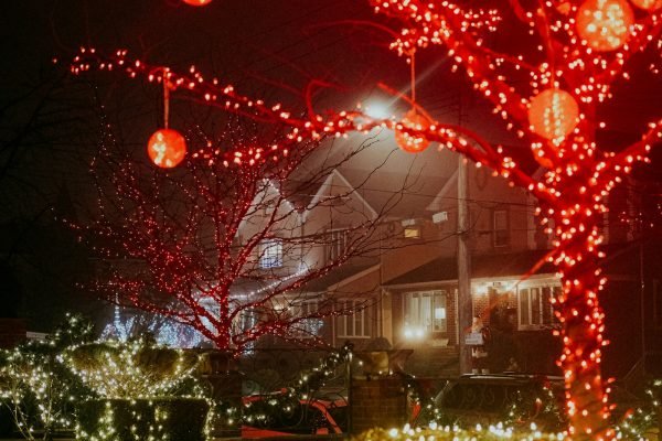 Trees and landscape wrapped in Christmas lighting at night